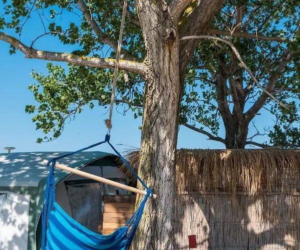 Gradina Kamp alanı
